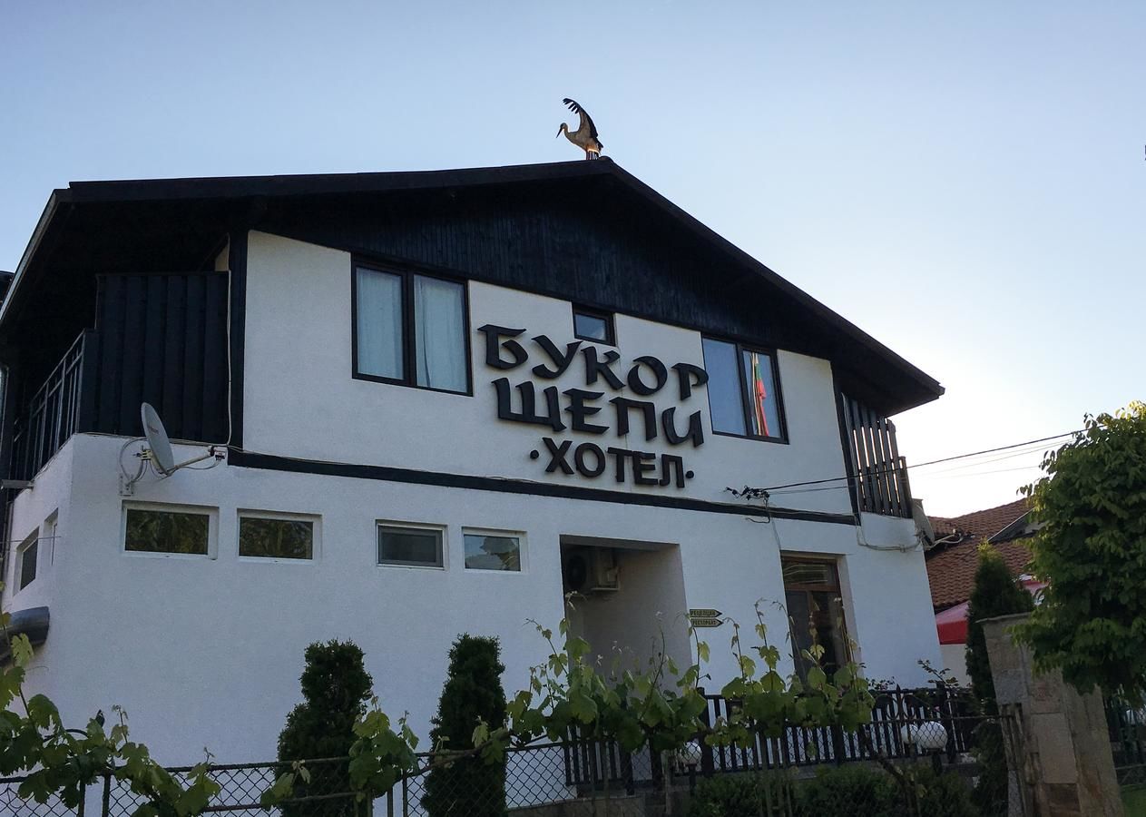 Гостевой дом Guest House Bukor Shtepi Mandrica-5